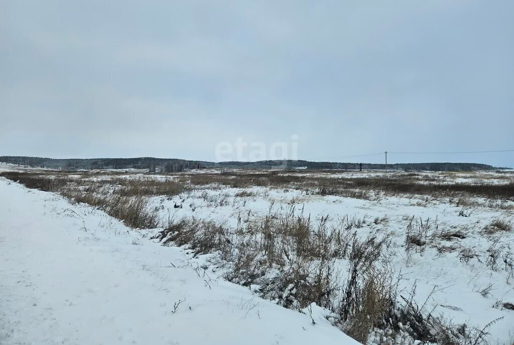 земля г Ульяновск с Арское ул Мира Засвияжский район фото 10