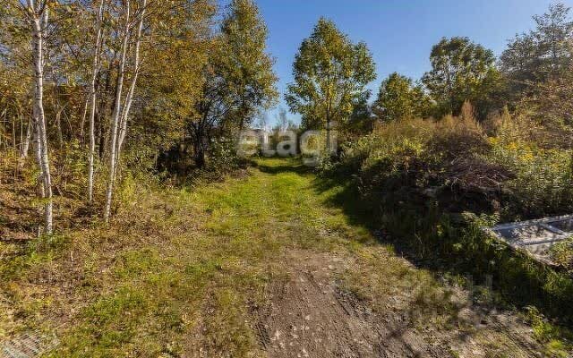 земля г Комсомольск-на-Амуре поселок Силинский ул 1-я Стрелковая фото 5