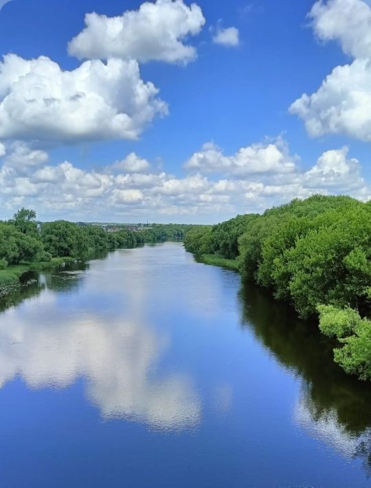 земля р-н Лебедянский г Лебедянь Стрелецкая Слобода кв-л фото 4