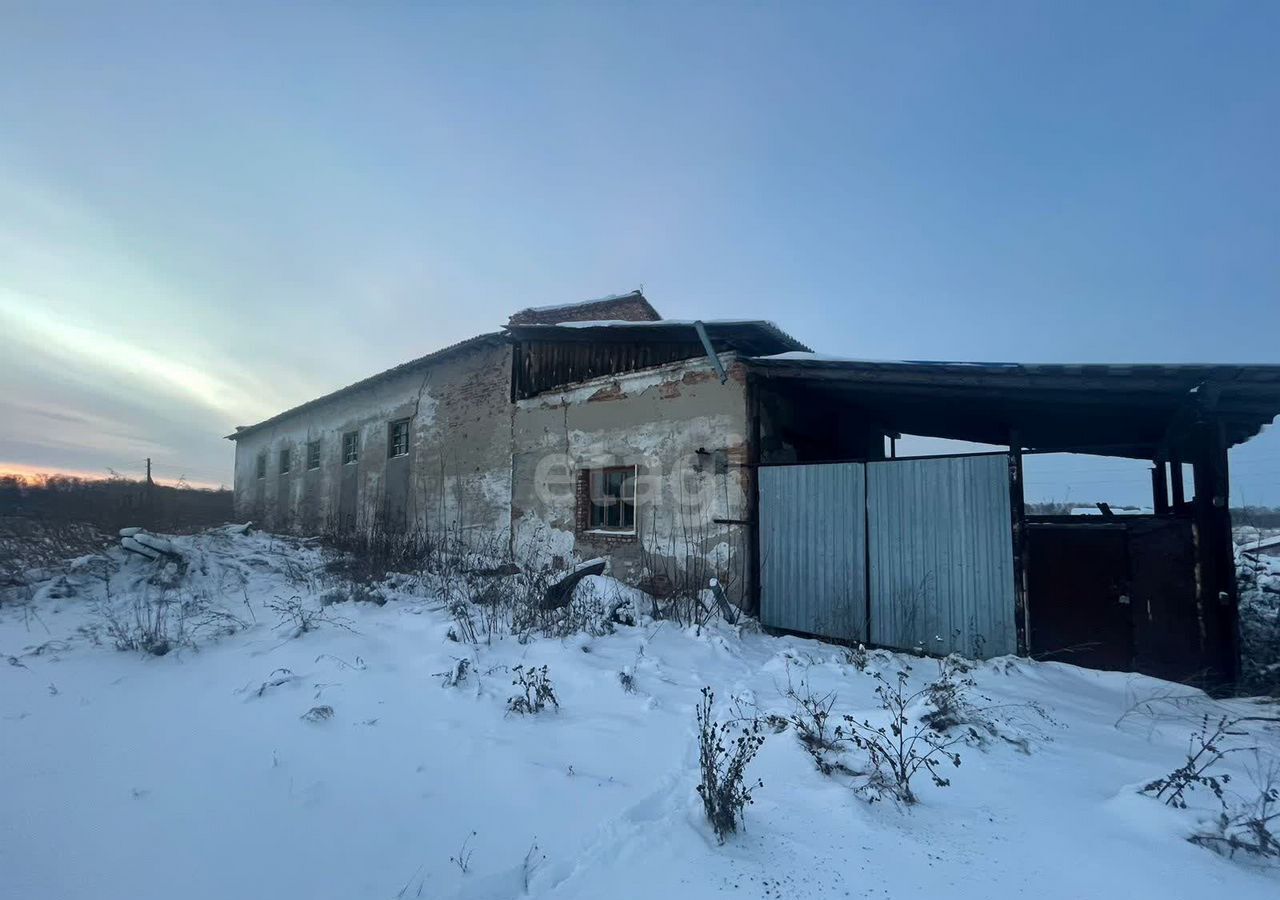 производственные, складские р-н Болотнинский г Болотное сквер имени А. С. Пушкина фото 8