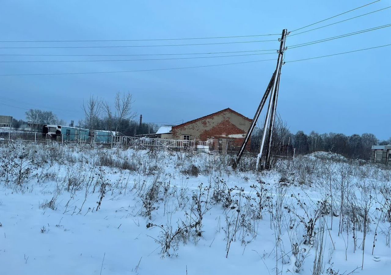 производственные, складские р-н Болотнинский г Болотное сквер имени А. С. Пушкина фото 12