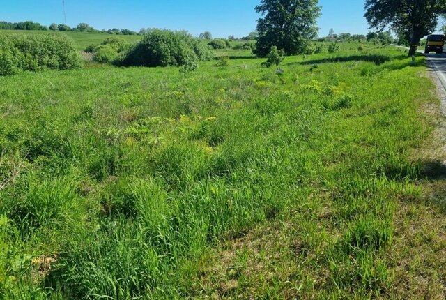 р-н Зеленоградский п Кумачево Зеленоградский муниципальный округ фото