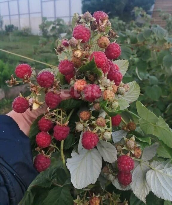 дом г Белгород снт Родничок-2 Беломестненское сельское поселение, Вишнёвая улица фото 9