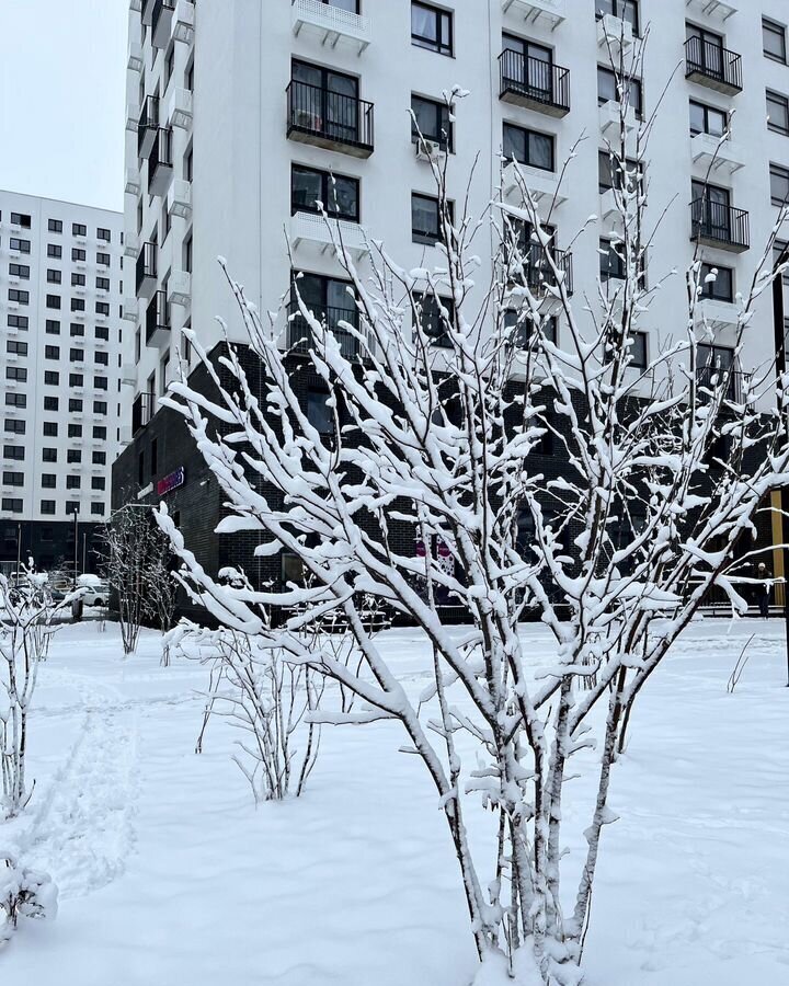 квартира г Пенза Пенза-4 ул Яшиной 5 ЖК «Лугометрия» р-н Октябрьский фото 11