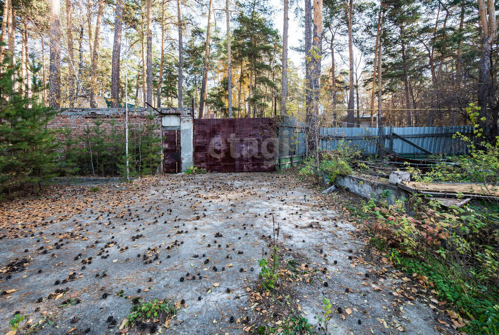 земля г Новосибирск р-н Заельцовский Заельцовская ДНТ Ельцовка фото 1