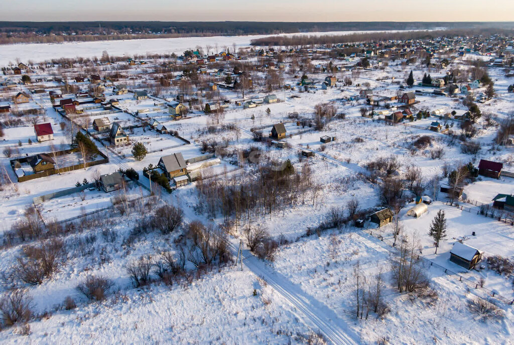 земля р-н Колыванский рп Колывань снт Ежевичка фото 6