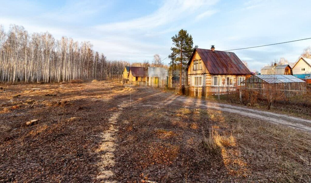 земля р-н Тюменский снт Искатель ул Линейная фото 13