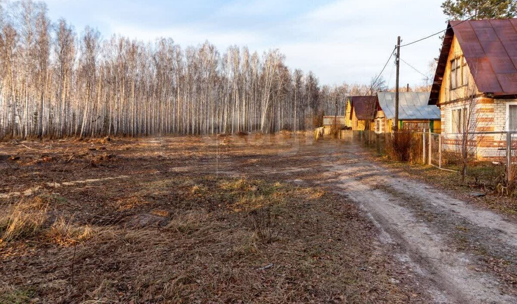 земля р-н Тюменский снт Искатель ул Линейная фото 9