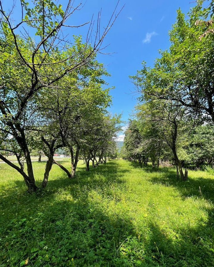 земля р-н Чемальский с Анос Горно-Алтайск фото 4