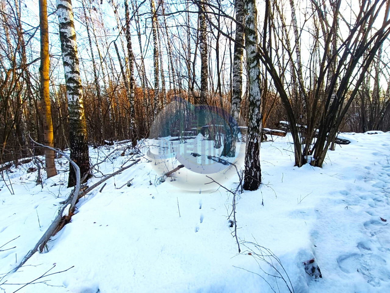 земля городской округ Ленинский д Мисайлово ул Лесная фото 4