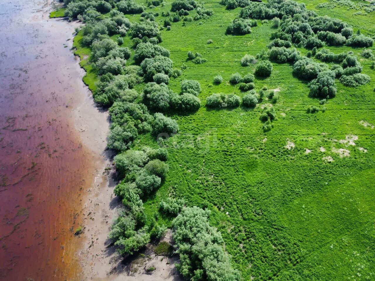 земля р-н Приморский д Личка Двинская фото 4