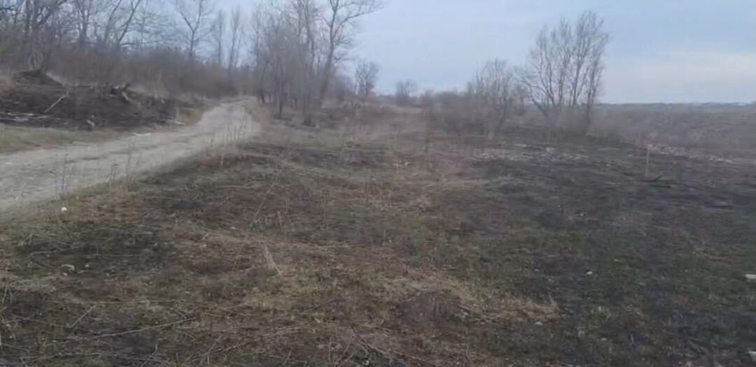 земля г Черкесск садовое товарищество Садовод фото 1