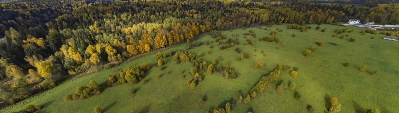 производственные, складские городской округ Истра д Надеждино 6 фото 4