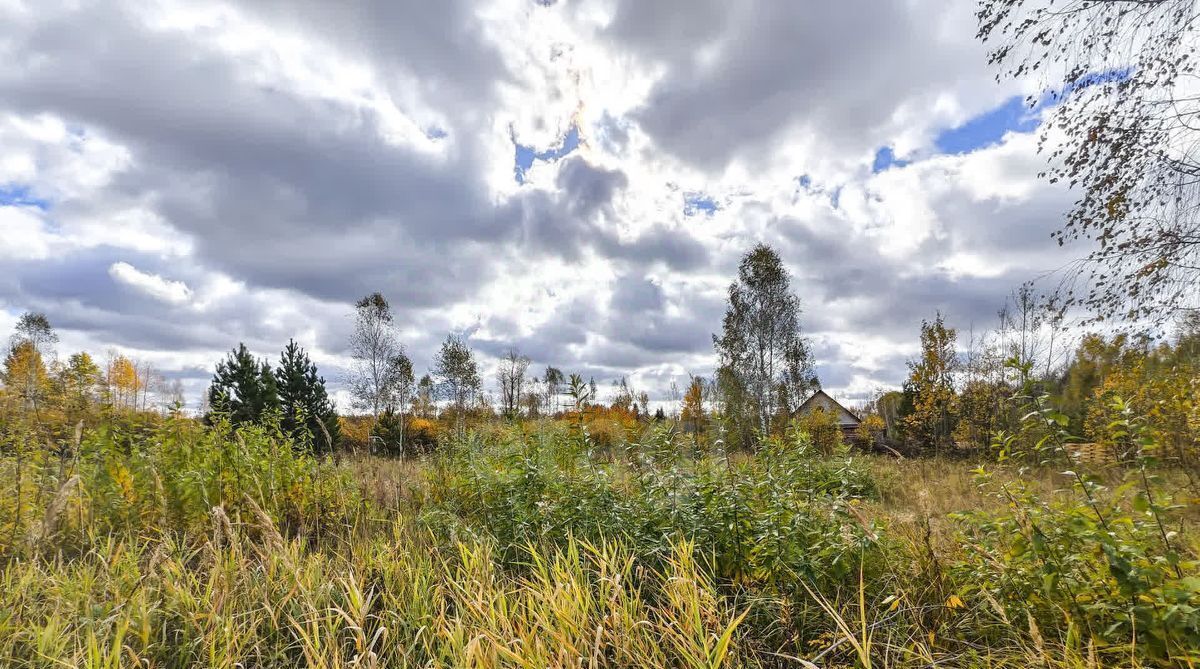 земля р-н Нижнетавдинский снт Сундукуль ул Полевая (поле 3) фото 4