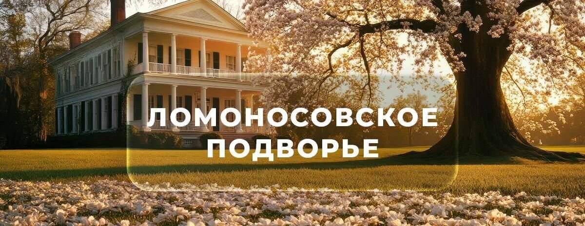 земля р-н Ломоносовский д Петровское Гостилицкое шоссе, 8 км, Оржицкое сельское поселение, Гостилицы фото 1