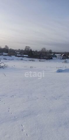 д Старое Брянцево Тверь фото