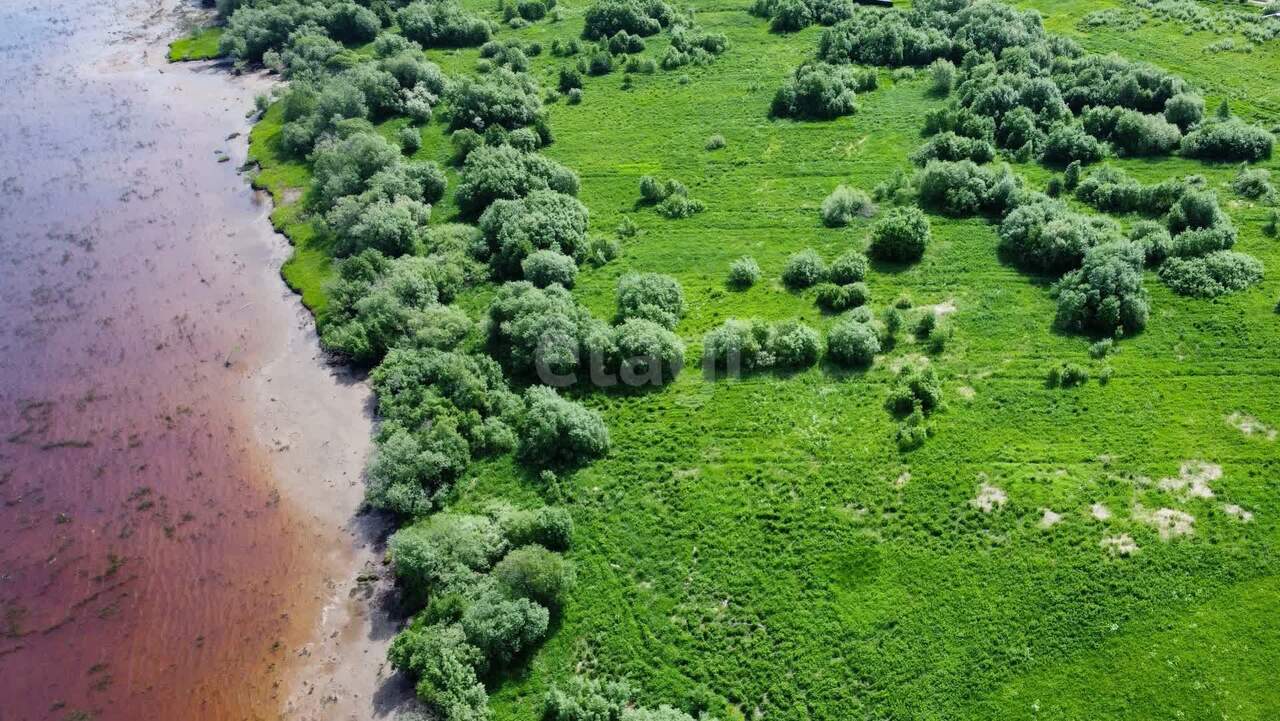 земля р-н Приморский д Личка Двинская фото 8