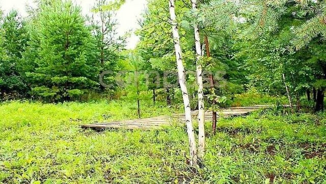 земля с Сингуль Татарский фото