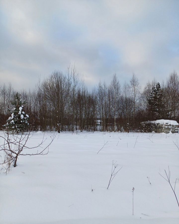 земля городской округ Клин г Высоковск 79 км, г. о. Клин, садовое товарищество Удача, Ленинградское шоссе фото 5