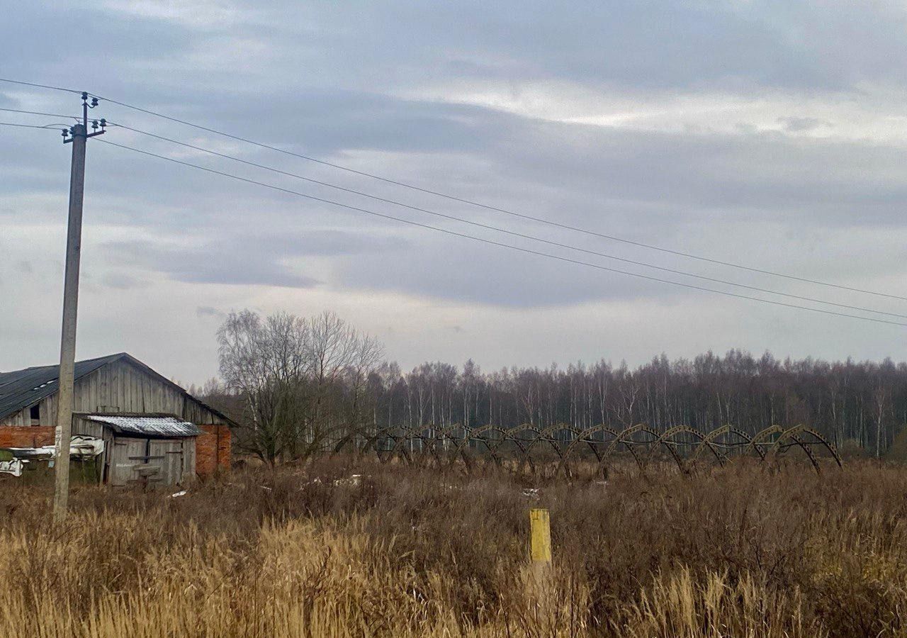 свободного назначения городской округ Лотошино д Вяхирево 3 фото 12