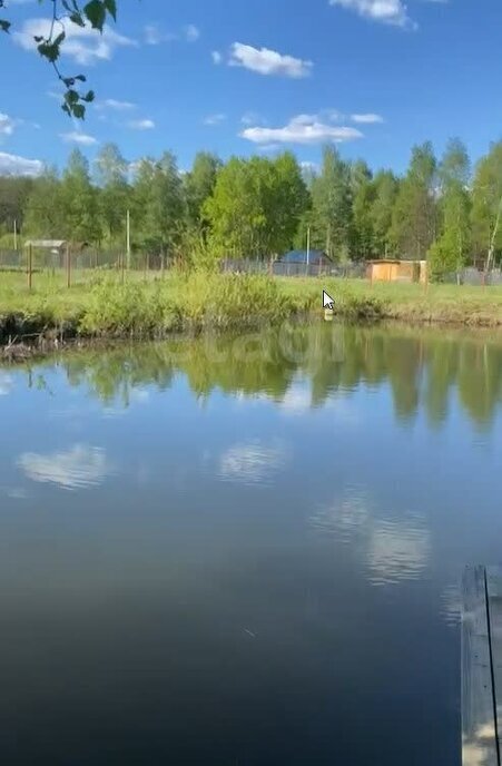 земля городской округ Раменский некоммерческое партнёрство Одуванчик фото 1