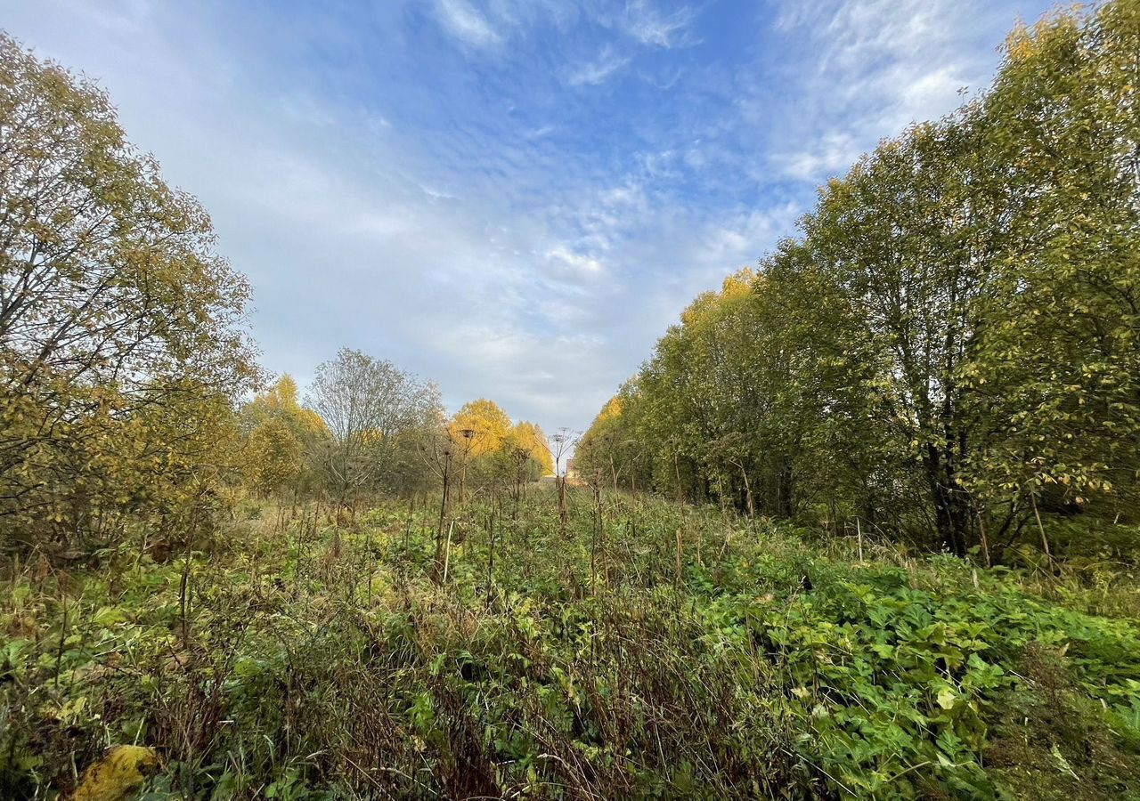 земля городской округ Шаховская д Гаврино 120 км, Новорижское шоссе фото 8