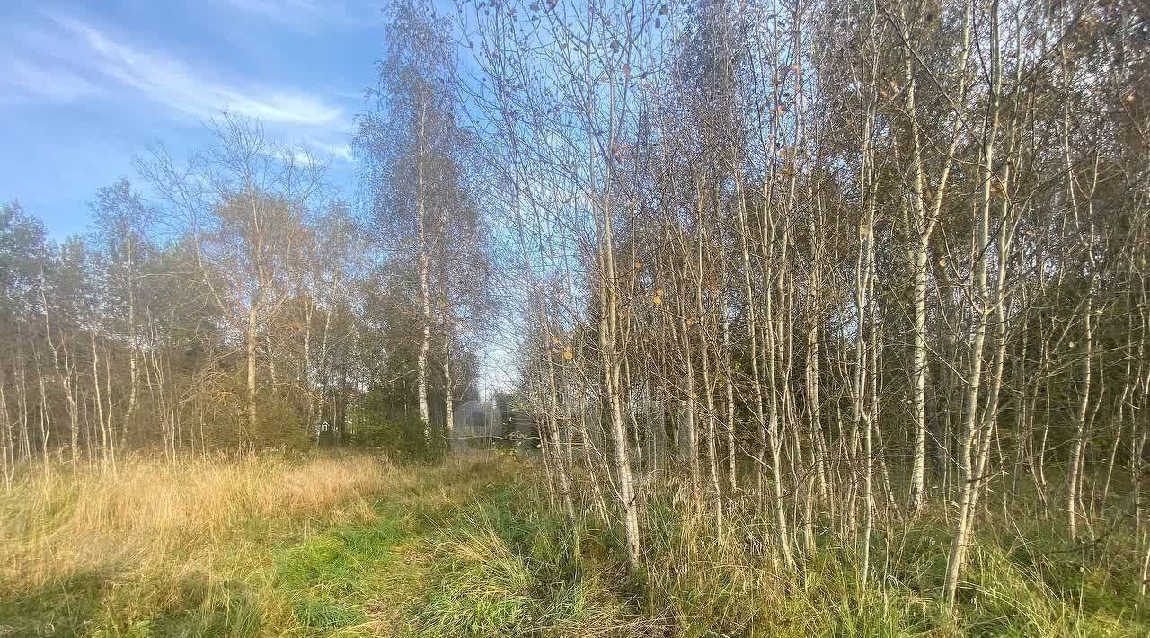 земля городской округ Раменский Одуванчик некоммерческое партнерство фото 5