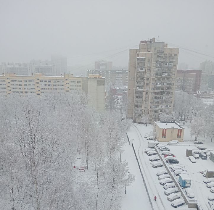 квартира г Санкт-Петербург метро Озерки пр-кт Энгельса 113к/2 округ Сосновское фото 12