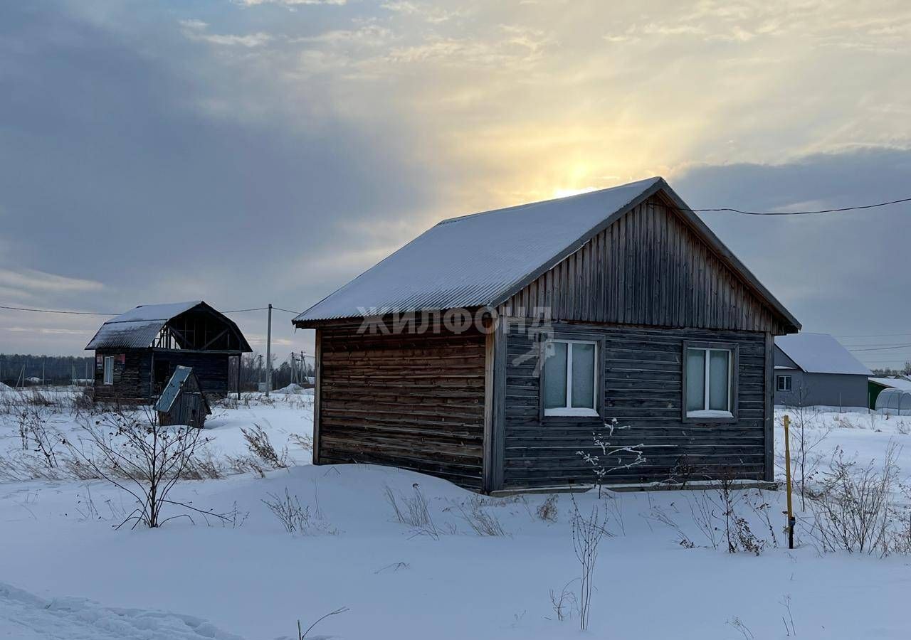 земля р-н Черепановский г Черепаново мкр Южный мкр-н фото 1