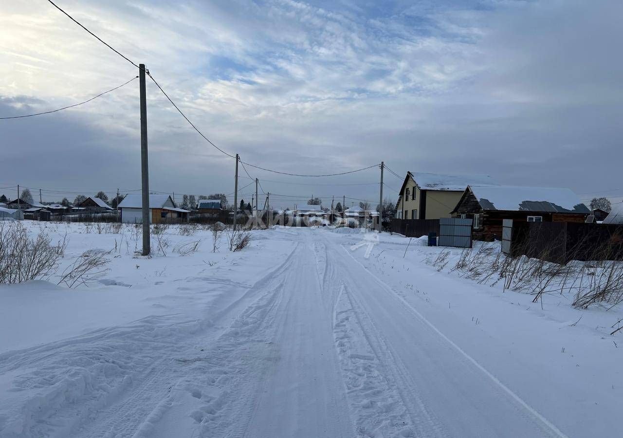 земля р-н Черепановский г Черепаново мкр Южный мкр-н фото 4