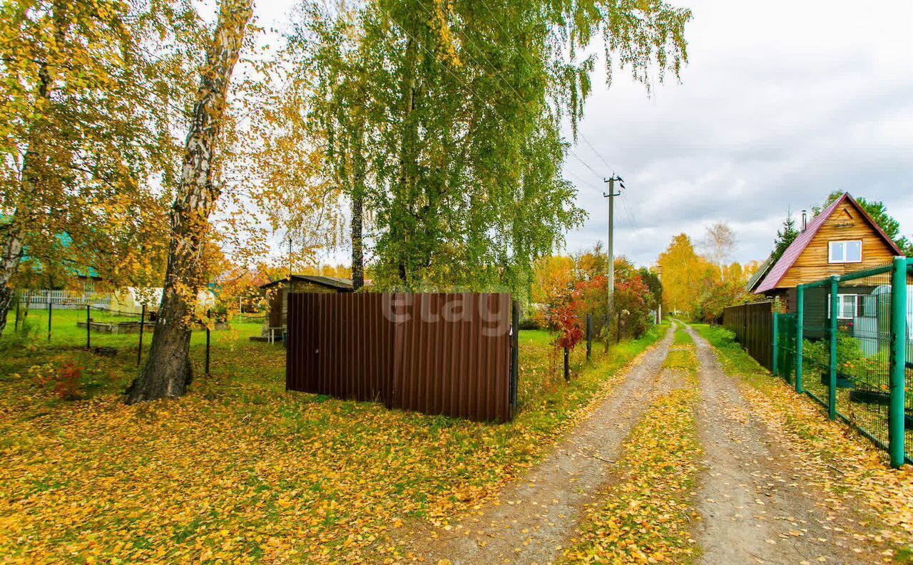 земля р-н Новосибирский Морской сельсовет, садовое товарищество Шафран, Новосибирск фото 7