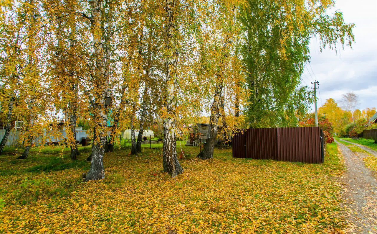 земля р-н Новосибирский Морской сельсовет, садовое товарищество Шафран, Новосибирск фото 6