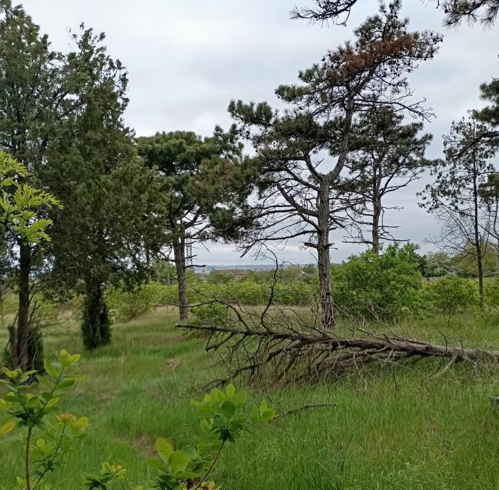 земля г Керчь Залив садово-огороднический кооператив, ул. Маршала Кулешова фото 18