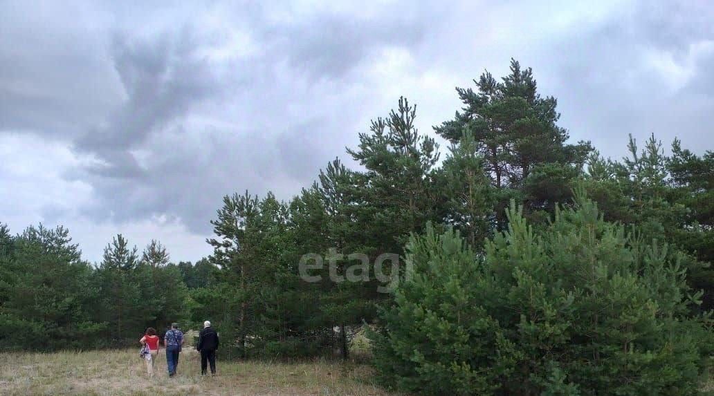 земля р-н Гдовский г Гдов ул Никитина городское поселение Гдов фото 4