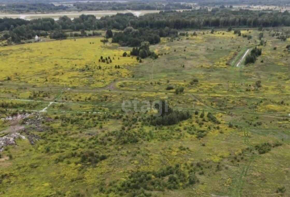 земля р-н Зеленоградский п Холмогоровка Калининград, Зеленоградский муниципальный округ фото 10