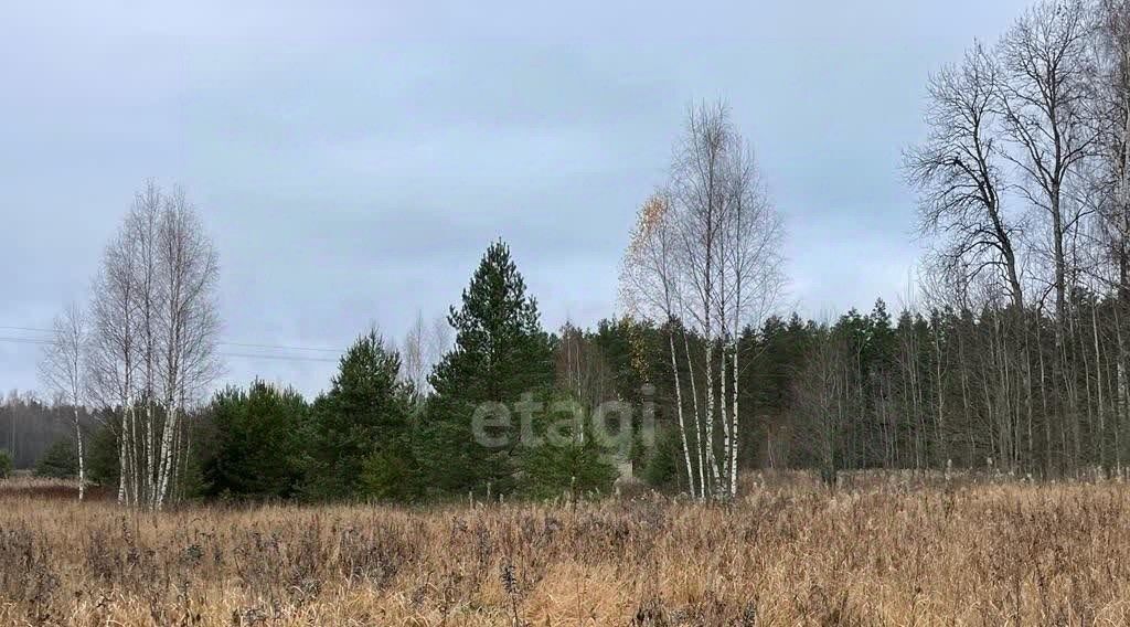 земля р-н Гдовский д Ужово Добручинская волость фото 5