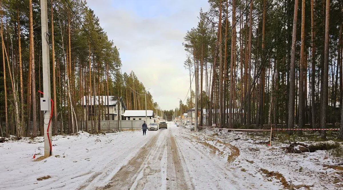 земля г Ханты-Мансийск снт Маяк ул. Аничковская, Сургут фото 4