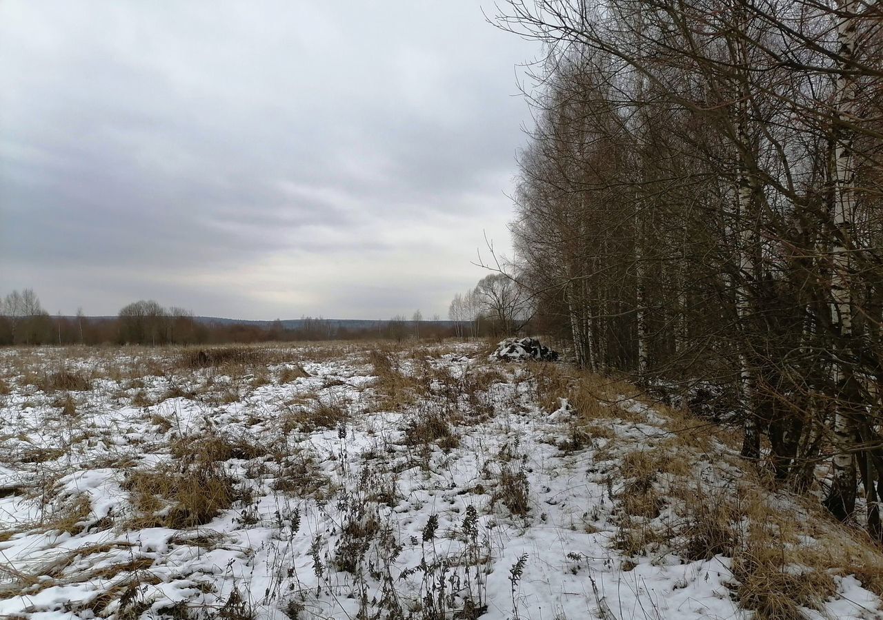 земля р-н Киржачский д Акулово ул Центральная муниципальное образование Кипревское, Киржач фото 8