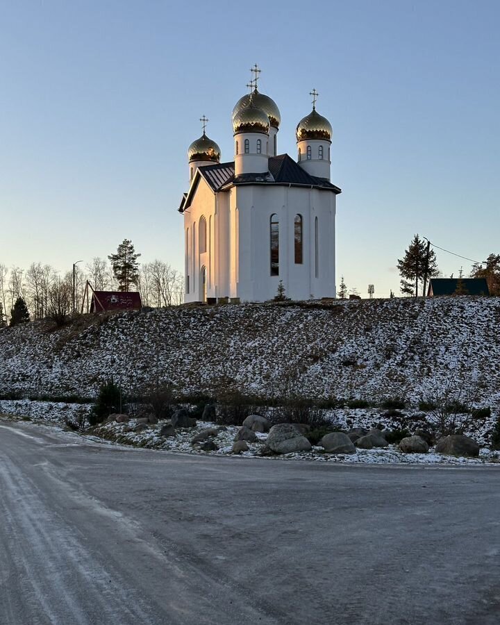 земля р-н Всеволожский 20 км, Всеволожский р-н, Токсовское городское поселение, СНТ Новое Токсово, Токсово, Ленинградское шоссе фото 6