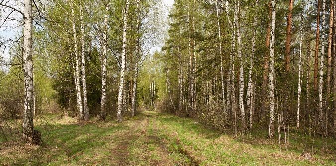 дом городской округ Клин д Селевино фото 18