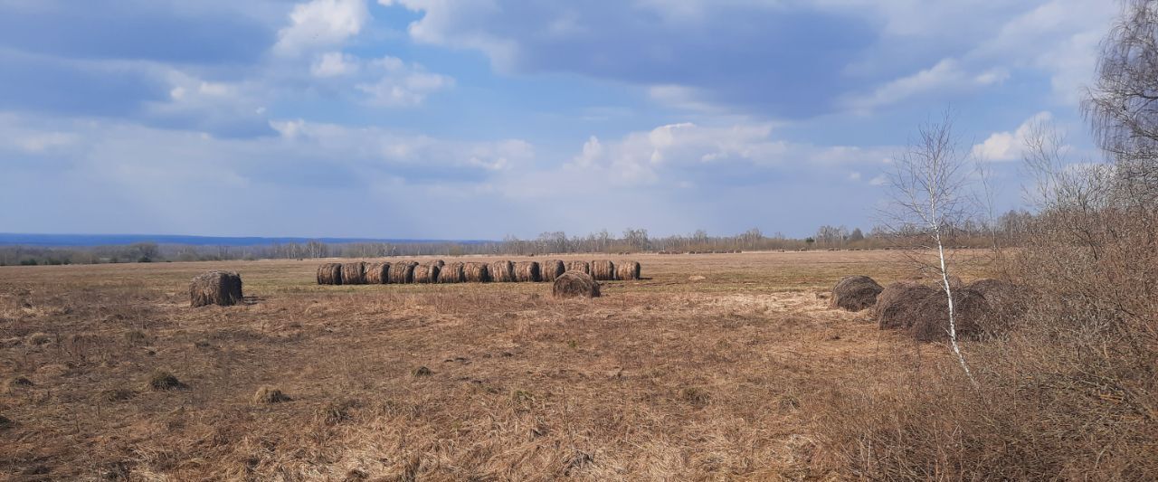 земля р-н Алексинский д Соломасово фото 5