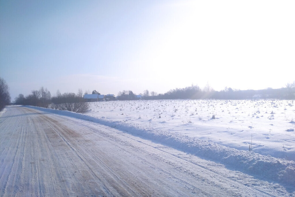 земля р-н Новгородский д Лентьево Борковское сельское поселение фото 1