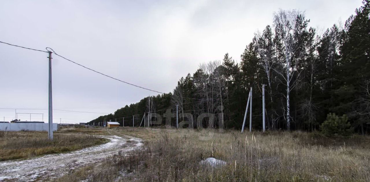 земля р-н Тюменский д Криводанова фото 10