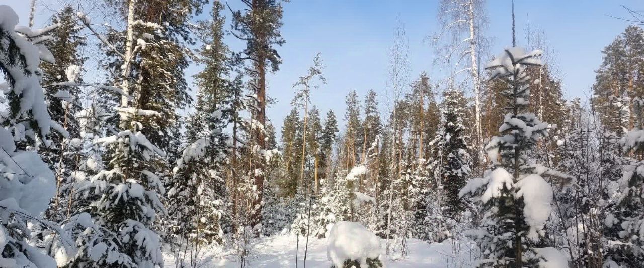 земля р-н Турочакский с Верх-Бийск ул Болотово фото 11