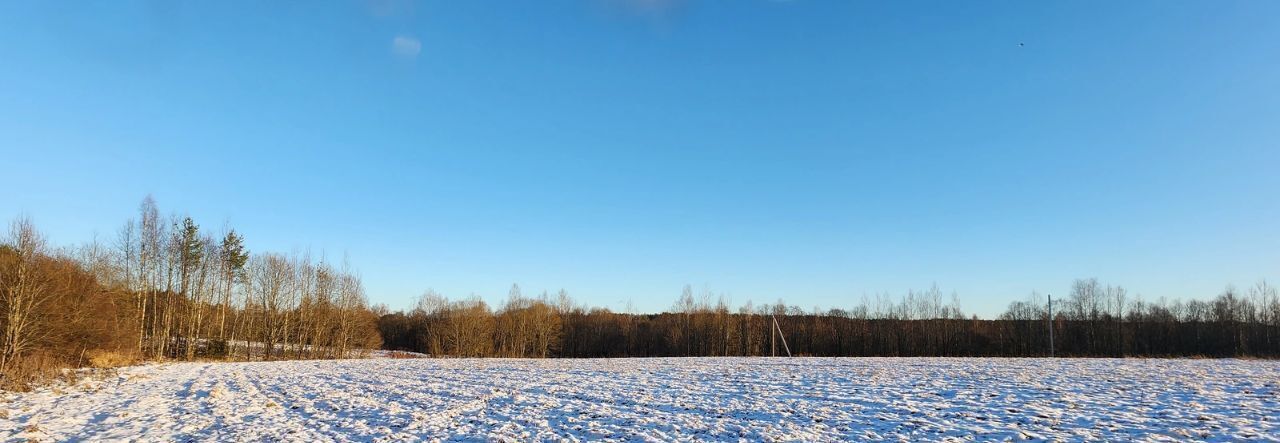 земля р-н Выборгский Рощинское городское поселение, Козицкие Луга кп фото 4