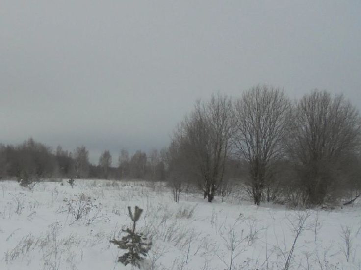 офис городской округ Дмитровский д Богданово фото 1