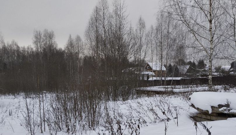 офис городской округ Дмитровский д Сокольники фото 2