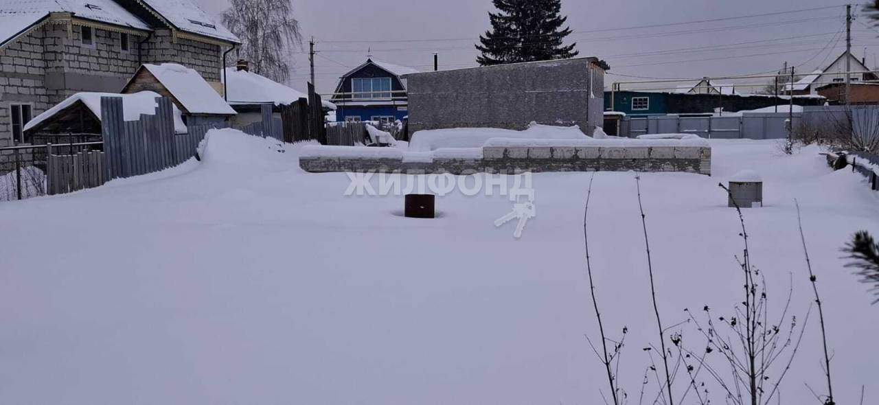 земля р-н Новосибирский с Каменка ул Рабочая Каменский сельсовет фото 1