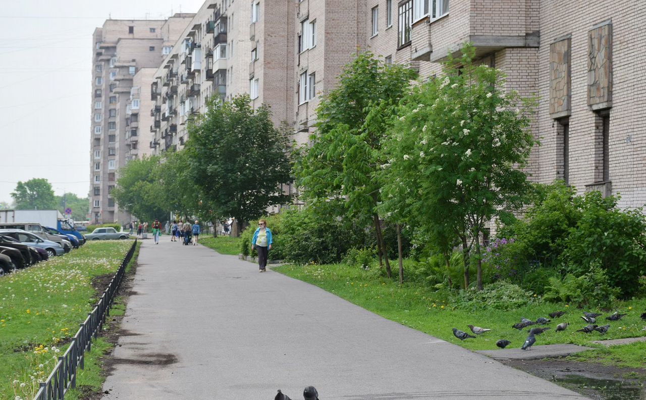 квартира г Санкт-Петербург метро Проспект Ветеранов ул Лёни Голикова 35 округ Дачное фото 29