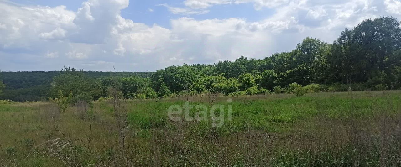 земля р-н Белгородский снт Рассвет-ВОС2 Веселолопанское с/пос фото 1